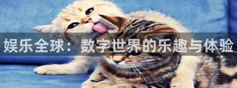 恒行5官网k88v店cc安全
