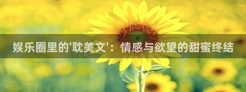 恒行5