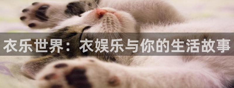 恒行5娱乐