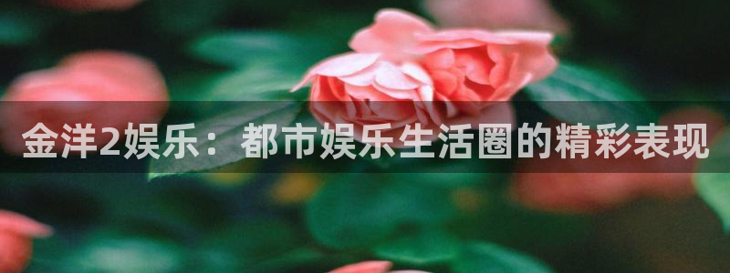 恒行5官网k88v店cc安全
