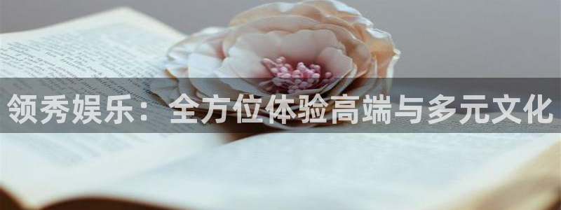 恒行5官网体验k88v典cc